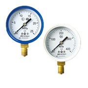 Манометр ДМ 05 063 (кл 2.5) 0-1 мПа G1/4 (радиальный) фото