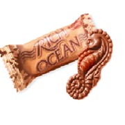 Шоколадные конфеты RICH OCEAN® - РІЧ ОУШН с пралиновой начинкой в форме морских фигурок