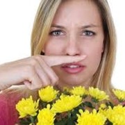 Аллергология и иммунология фото