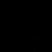 Пигмент лак Hesse-Lignal черный фото