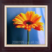 Набор для рисования камнями на холсте “Гербера“ 5D-052 фото