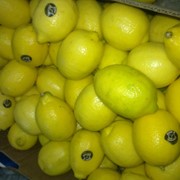 Лимоны фотография