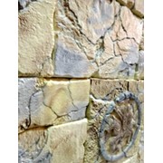 Старая Английская стена,с Декором Рыцарской Символики. фото