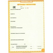 Сертификация ТР ТС фото