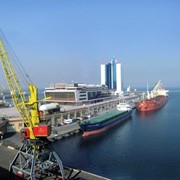 Организация качественной и количественной экспертизы грузов в Одесском морском торговом порту и других портах Украины. Перегрузочный комплекс, позволяющий принять и разместить на своих площадях до 150 тысяч тонн грузов фото