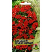 Семена комнатного растения Бальзамин Красная милашка (комн.) фотография
