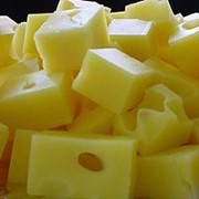 Сыр твердый ( росийский и голландский) фотография