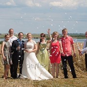 Свадьба в Солигорске фото