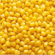 Кукуруза зерно оптом от производителя. Экспорт. Документы.