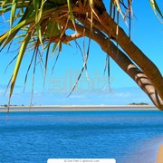 Экзотические туры в Таиланд фото