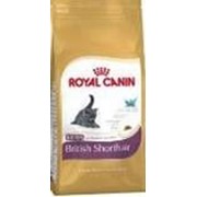 Сухой корм Royal Canin Kitten British Shorthair для котят британской короткошерстной, 10 кг