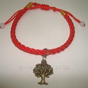 Браслет Красная нить Денежное дерево 156085429 фото