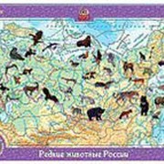 Развивающий пазл "Редкие животные России" большие арт.80462