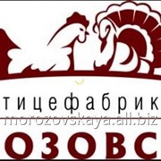 Мясо птицы фото