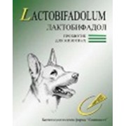 Лактобифадол для собак фото