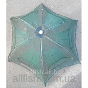 Раколовка “зонт“, 80см, 6 входов (малая) фото
