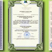 Сертификация и лицензирование фотография