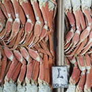 Морепродукт фото