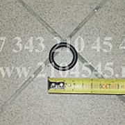 Кольцо 40747 между ТНВД и регулятором (ЧТЗ) фото