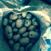 Картофель молодой купить в Крыму