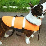 Спасательные жилет для собаки Spass-dog, размер M, собаки до 10 кг, 66х30х46 см