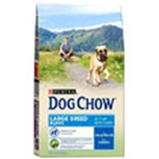 Корм для собак Dog Chow Puppy Large для щенков крупных пород фото