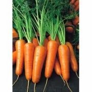 Семена моркови Ройал Шансон 1 кг