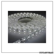 Светодиодная лента BR-LTW-60CW влагозащищенная, цвет холодный белый, 5м, 12В, 60 LED/m фото