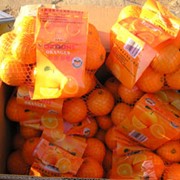 Апельсины. фото