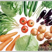 Удобрения органо-минеральные Органическое удобрение «Sidera Organic»