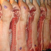 Мясо свинина полутушки фотография