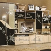 Набор корпусной мебели Орфей-5 (лакобель+зеркала) фотография