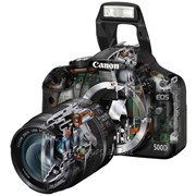 Ремонт фотоаппаратов Canon фото