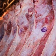 Мясо говядины II категории в полутушах коровы охлажденное фото