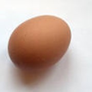 Яйца куриные инкубационные