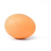 Яйцо фото