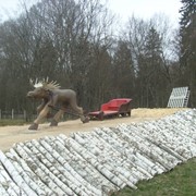 Бегущий лось фото