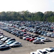 Аренда места для легкового транспорта за месяц фото