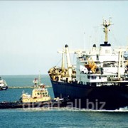 Перевозки грузовые. Перевозки пассажирские и грузовые на внутренних водных путях (Мариупольский морской торговый порт, ГП) фото