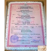 Свадебный торт на заказ фото