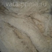Вата ПРИМА в наличии фото