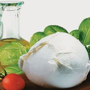 Производство сыра фото