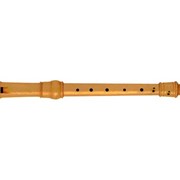 Блок-флейта Yamaha YRN-801 фотография