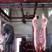 Мясоперерабатывающее предприятие(Бойня) фото