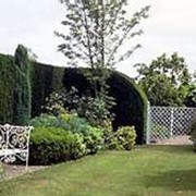 Английский сад. фотография