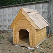 Будка деревянная для животных фотография