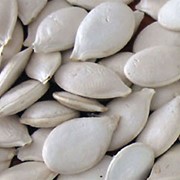 Семечка тыквы сорт “Сероволжская“,тыквенные семечки, семена тыквы, Украина, Экспорт. фото