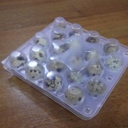 Упаковка для перепелиных яиц №18