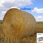 Сетка сенажная для рулонов сена PROTECTOR PREMIUM 1,23*3600 м. Karatzis S.A. фото
