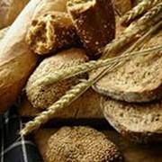 Технические условия хлеб из пшеничной муки ТУ 9114-174-37676459-2014 фото